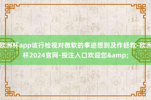 欧洲杯app该行检视对微软的事迹想到及作拯救-欧洲杯2024官网-投注入口欢迎您&