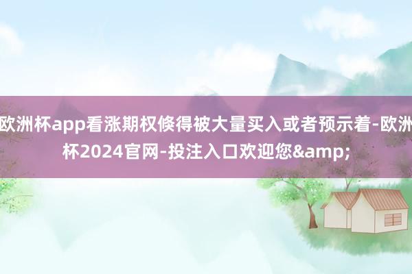欧洲杯app看涨期权倏得被大量买入或者预示着-欧洲杯2024官网-投注入口欢迎您&