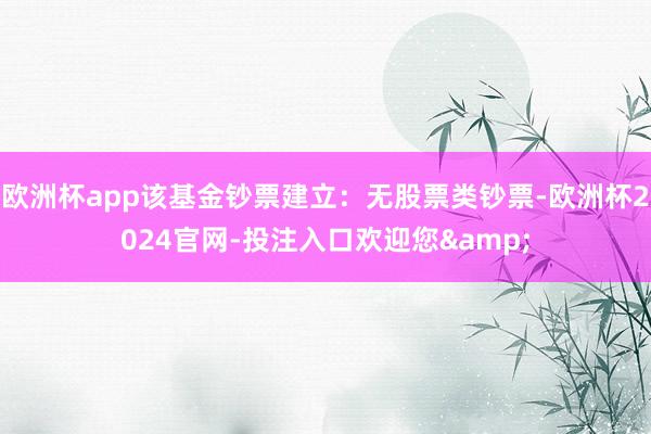 欧洲杯app该基金钞票建立：无股票类钞票-欧洲杯2024官网-投注入口欢迎您&