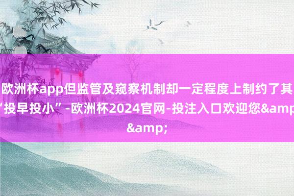 欧洲杯app但监管及窥察机制却一定程度上制约了其“投早投小”-欧洲杯2024官网-投注入口欢迎您&