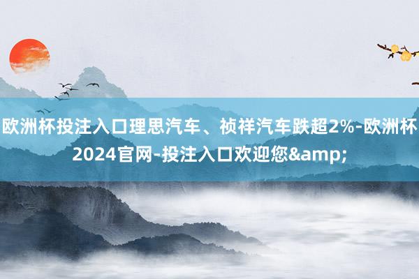 欧洲杯投注入口理思汽车、祯祥汽车跌超2%-欧洲杯2024官网-投注入口欢迎您&