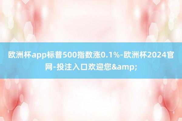 欧洲杯app标普500指数涨0.1%-欧洲杯2024官网-投注入口欢迎您&