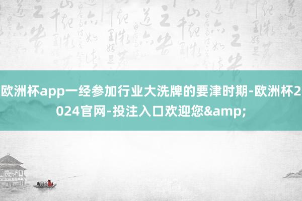 欧洲杯app一经参加行业大洗牌的要津时期-欧洲杯2024官网-投注入口欢迎您&