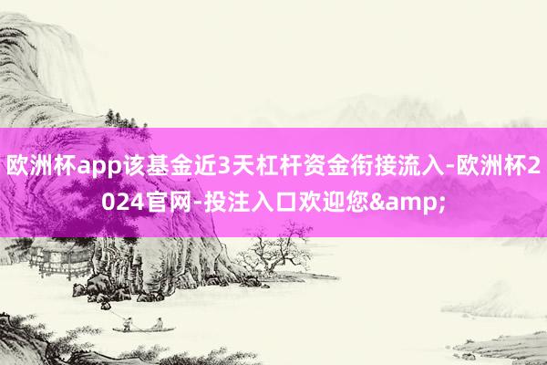 欧洲杯app该基金近3天杠杆资金衔接流入-欧洲杯2024官网-投注入口欢迎您&