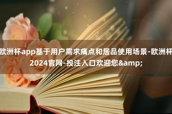 欧洲杯app基于用户需求痛点和居品使用场景-欧洲杯2024官网-投注入口欢迎您&