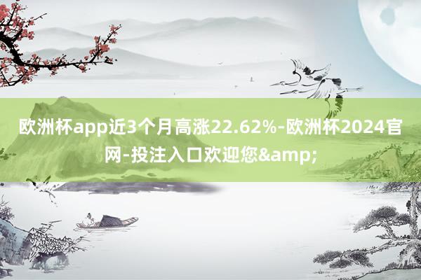 欧洲杯app近3个月高涨22.62%-欧洲杯2024官网-投注入口欢迎您&