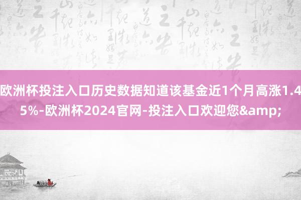 欧洲杯投注入口历史数据知道该基金近1个月高涨1.45%-欧洲杯2024官网-投注入口欢迎您&