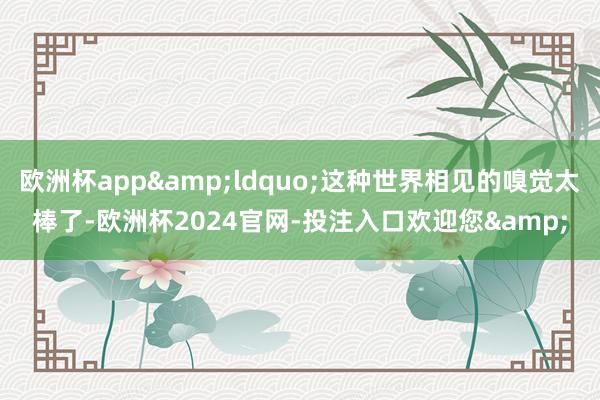欧洲杯app&ldquo;这种世界相见的嗅觉太棒了-欧洲杯2024官网-投注入口欢迎您&