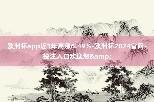 欧洲杯app近1年高涨6.49%-欧洲杯2024官网-投注入口欢迎您&