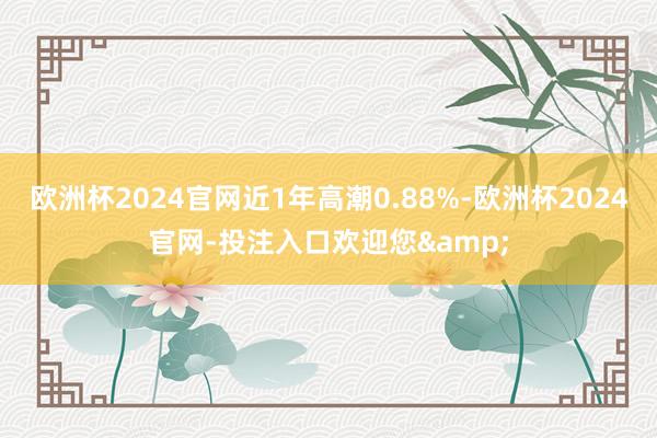 欧洲杯2024官网近1年高潮0.88%-欧洲杯2024官网-投注入口欢迎您&