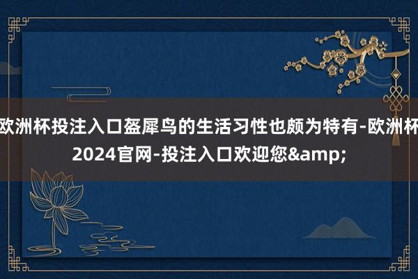 欧洲杯投注入口盔犀鸟的生活习性也颇为特有-欧洲杯2024官网-投注入口欢迎您&
