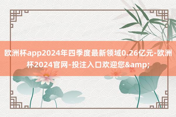 欧洲杯app2024年四季度最新领域0.26亿元-欧洲杯2024官网-投注入口欢迎您&