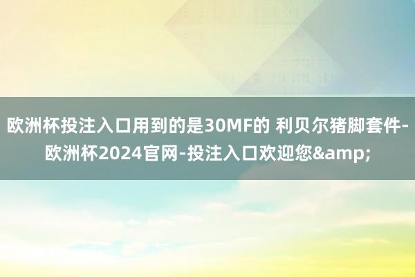 欧洲杯投注入口用到的是30MF的 利贝尔猪脚套件-欧洲杯2024官网-投注入口欢迎您&