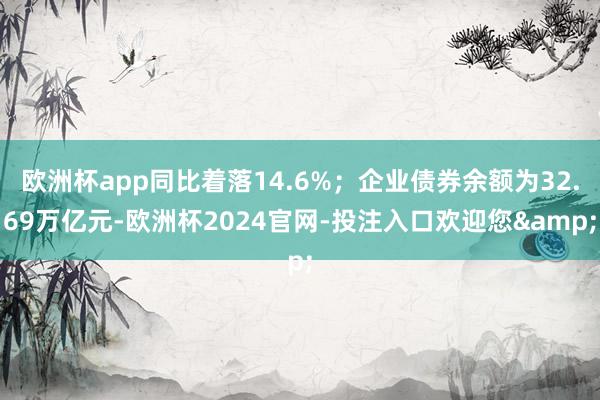 欧洲杯app同比着落14.6%；企业债券余额为32.69万亿元-欧洲杯2024官网-投注入口欢迎您&