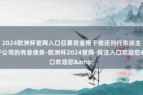 2024欧洲杯官网入口召募资金用于偿还刊行东谈主过火子公司的有息债务-欧洲杯2024官网-投注入口欢迎您&