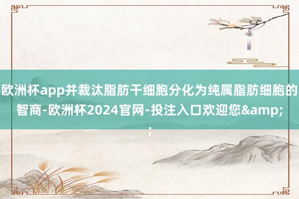 欧洲杯app并裁汰脂肪干细胞分化为纯属脂肪细胞的智商-欧洲杯2024官网-投注入口欢迎您&