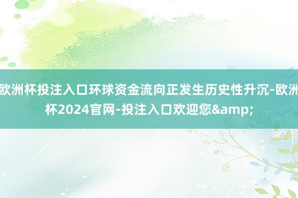 欧洲杯投注入口环球资金流向正发生历史性升沉-欧洲杯2024官网-投注入口欢迎您&