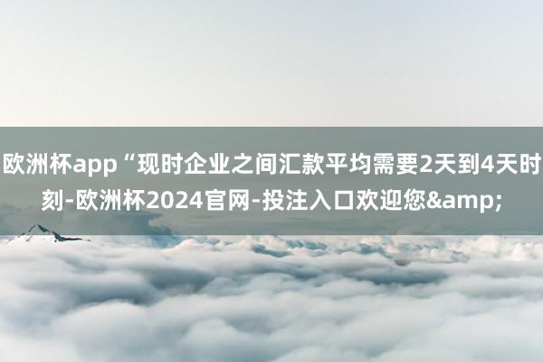 欧洲杯app“现时企业之间汇款平均需要2天到4天时刻-欧洲杯2024官网-投注入口欢迎您&