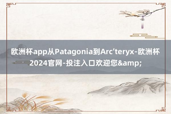 欧洲杯app从Patagonia到Arc’teryx-欧洲杯2024官网-投注入口欢迎您&