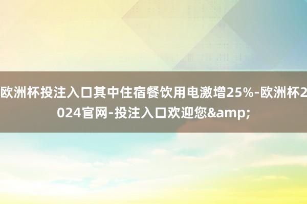 欧洲杯投注入口其中住宿餐饮用电激增25%-欧洲杯2024官网-投注入口欢迎您&