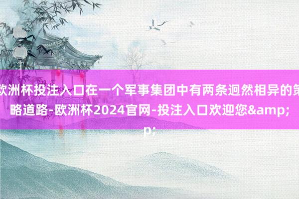欧洲杯投注入口在一个军事集团中有两条迥然相异的策略道路-欧洲杯2024官网-投注入口欢迎您&