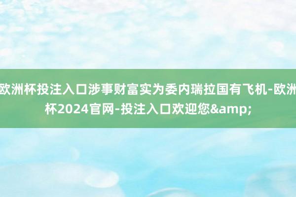 欧洲杯投注入口涉事财富实为委内瑞拉国有飞机-欧洲杯2024官网-投注入口欢迎您&