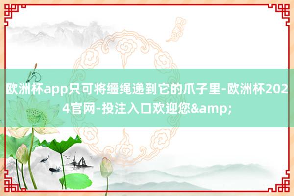 欧洲杯app只可将缰绳递到它的爪子里-欧洲杯2024官网-投注入口欢迎您&