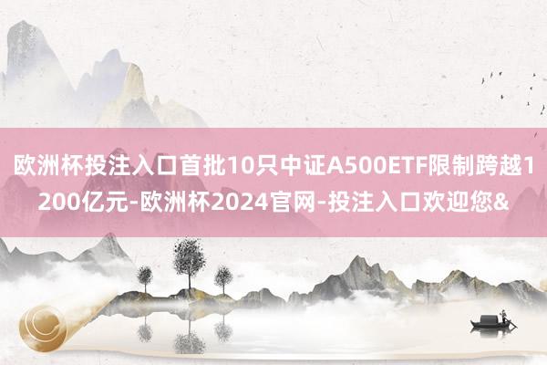 欧洲杯投注入口首批10只中证A500ETF限制跨越1200亿元-欧洲杯2024官网-投注入口欢迎您&