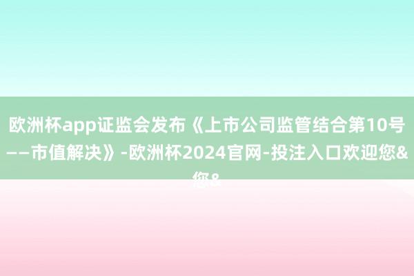 欧洲杯app证监会发布《上市公司监管结合第10号——市值解决》-欧洲杯2024官网-投注入口欢迎您&