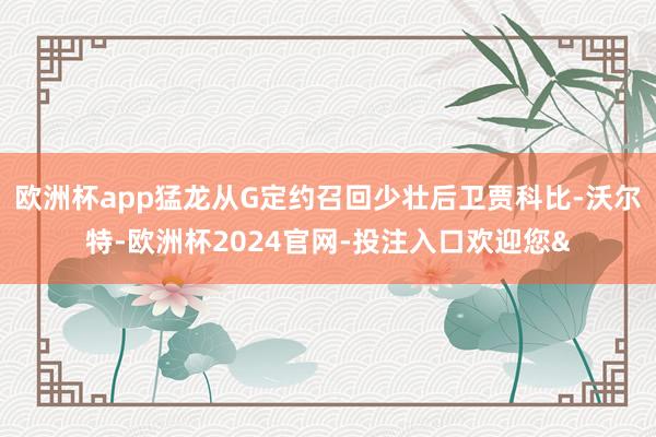 欧洲杯app猛龙从G定约召回少壮后卫贾科比-沃尔特-欧洲杯2024官网-投注入口欢迎您&