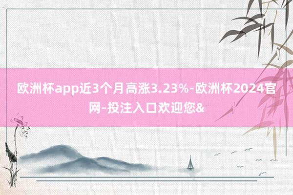 欧洲杯app近3个月高涨3.23%-欧洲杯2024官网-投注入口欢迎您&