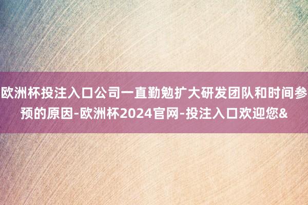 欧洲杯投注入口公司一直勤勉扩大研发团队和时间参预的原因-欧洲杯2024官网-投注入口欢迎您&