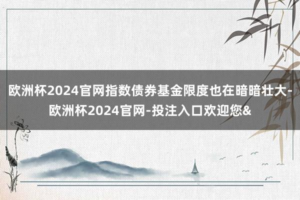 欧洲杯2024官网指数债券基金限度也在暗暗壮大-欧洲杯2024官网-投注入口欢迎您&