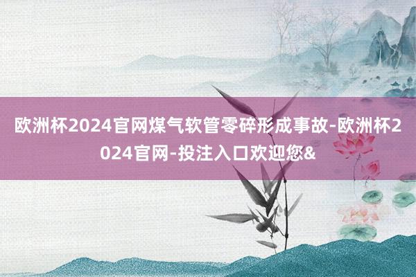 欧洲杯2024官网煤气软管零碎形成事故-欧洲杯2024官网-投注入口欢迎您&