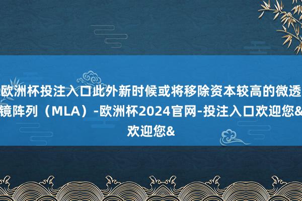 欧洲杯投注入口此外新时候或将移除资本较高的微透镜阵列（MLA）-欧洲杯2024官网-投注入口欢迎您&