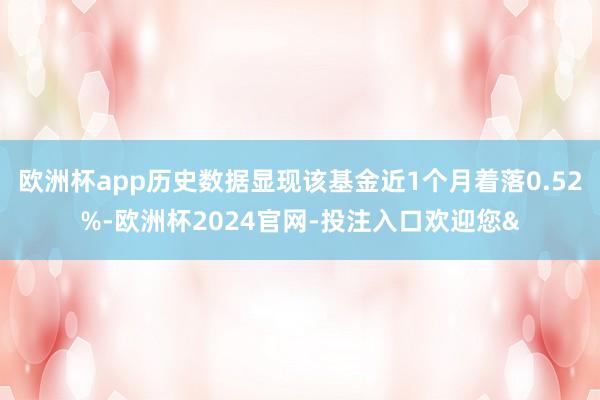 欧洲杯app历史数据显现该基金近1个月着落0.52%-欧洲杯2024官网-投注入口欢迎您&