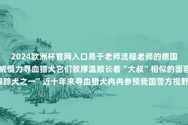 2024欧洲杯官网入口易于老师流程老师的德国牧羊犬很是凶猛、充满威慑力寻血猎犬它们敦厚温顺长着“大叔”相似的面容是世界公认的“最好跟踪犬之一”近十年来寻血猎犬冉冉参预我国警方视野在跟踪、寻找失散东说念主口等方面不休赢得好得益西藏林芝猎犬算作雪域高原生计衍生的原土犬种其佩戴了顺应高寒缺氧环境基因能顺应海拔4000m以上低温强紫外线环境它们性格千里着开畅步履机警生动猎取欲和沸腾性极强领有特有的空中捕捉气息能力对萧索跟踪、搜索有着与生俱来的天禀不错出色完成高海拔低温缺氧环境下萧索跟踪、山林搜索等责任任务太仓犬是我国保护卓越告捷的一种猎犬距今已有两百多年历史现被算作原土警用犬新品种进行要点栽培它们感觉灵巧、功课抓久擅长弹跳和驰驱耐干冷、耐粗饲、胆量大具有极强的环境顺应性和抗病性适用于跟踪、高位搜索、搜毒、搜爆血印搜索、搜尸等科目广西平地犬产地中国顺应35℃以上高温高湿环境感觉灵巧平地穿梭能力强耐力抓久擅长群体衔尾不错离开阅历员1000米以上进行自主多犬合作平地搜索功课具有优异的警用性能主要用于跟踪、搜捕、搜救等科目好了看完这篇著作你是不是对这群狼狈的战士又有了更深的了解呢祝愿这群狼狈的战士在责任中平吉祥安不休建功“加鸡腿”转自:重庆共青团开首:山东省委政法委 发布于:北京市-欧洲杯2024官网-投注入口欢迎您&