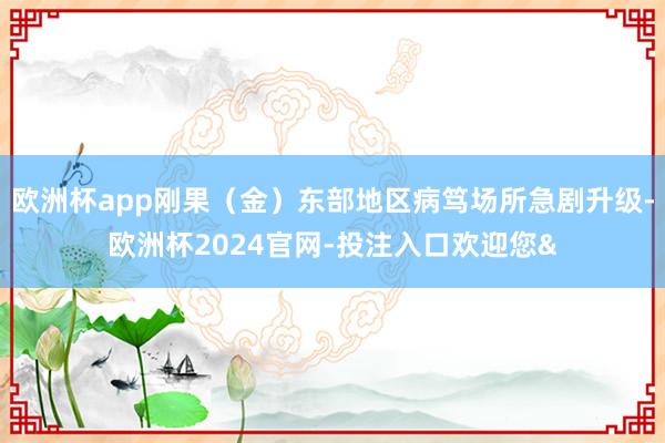 欧洲杯app刚果（金）东部地区病笃场所急剧升级-欧洲杯2024官网-投注入口欢迎您&