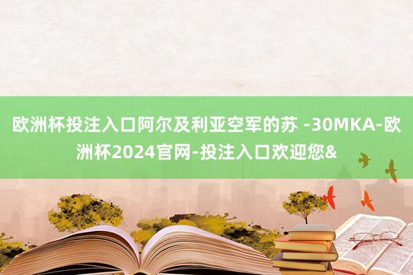 欧洲杯投注入口阿尔及利亚空军的苏 -30MKA-欧洲杯2024官网-投注入口欢迎您&