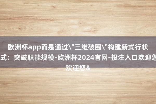 欧洲杯app而是通过