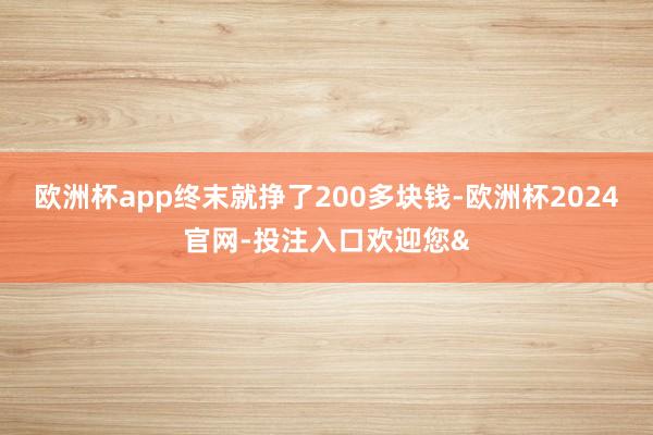欧洲杯app终末就挣了200多块钱-欧洲杯2024官网-投注入口欢迎您&