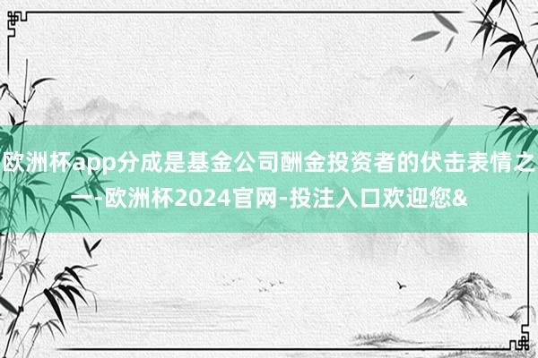 欧洲杯app分成是基金公司酬金投资者的伏击表情之一-欧洲杯2024官网-投注入口欢迎您&