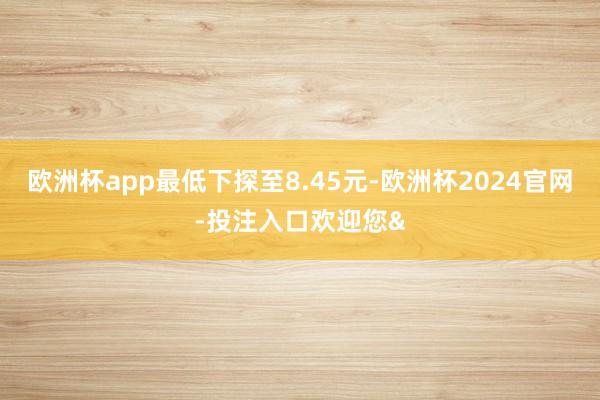欧洲杯app最低下探至8.45元-欧洲杯2024官网-投注入口欢迎您&