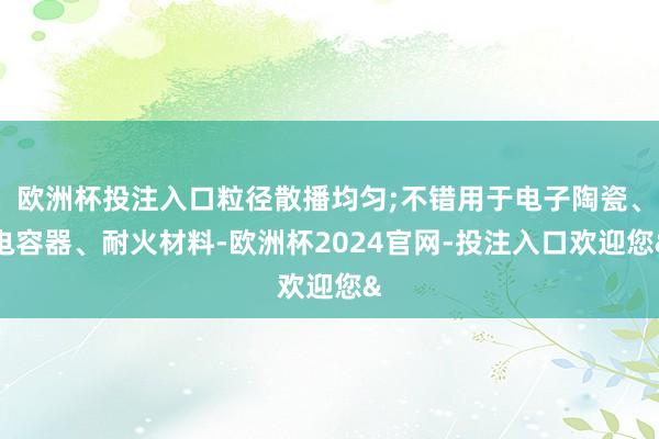 欧洲杯投注入口粒径散播均匀;不错用于电子陶瓷、电容器、耐火材料-欧洲杯2024官网-投注入口欢迎您&