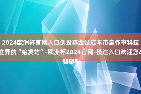 2024欧洲杯官网入口创投基金是成本市集作事科技立异的“始发站”-欧洲杯2024官网-投注入口欢迎您&