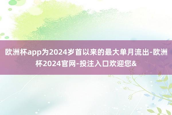 欧洲杯app为2024岁首以来的最大单月流出-欧洲杯2024官网-投注入口欢迎您&