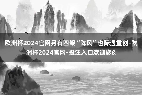欧洲杯2024官网另有四架“阵风”也际遇重创-欧洲杯2024官网-投注入口欢迎您&