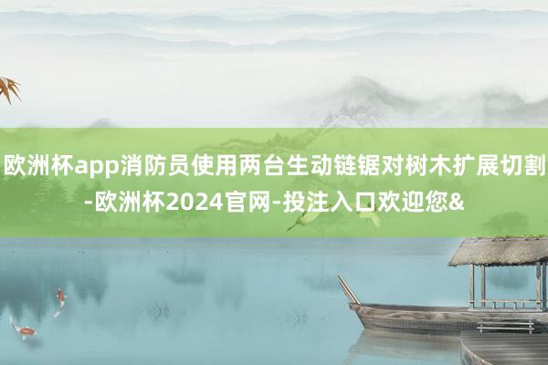 欧洲杯app消防员使用两台生动链锯对树木扩展切割-欧洲杯2024官网-投注入口欢迎您&