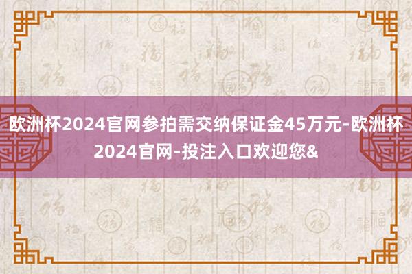 欧洲杯2024官网参拍需交纳保证金45万元-欧洲杯2024官网-投注入口欢迎您&