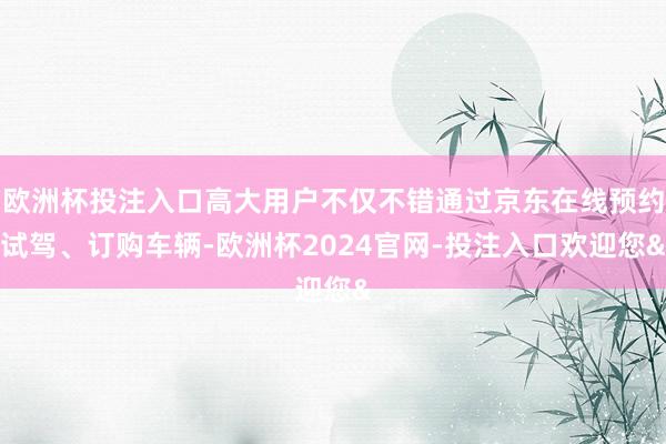欧洲杯投注入口高大用户不仅不错通过京东在线预约试驾、订购车辆-欧洲杯2024官网-投注入口欢迎您&